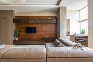 A Living room with a modish couch