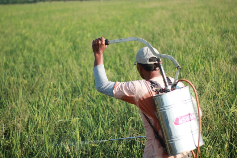 Top 6 benefits of Kal Pest Solutions