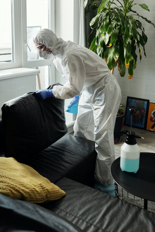 An image of a person wearing protective suit looking though a couch  