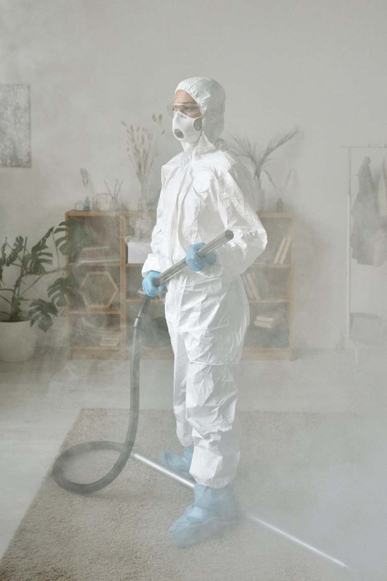  an expert fumigating with chemicals for pest control