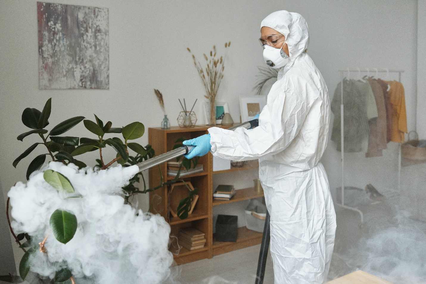  a professional pest control expert fumigating a house
