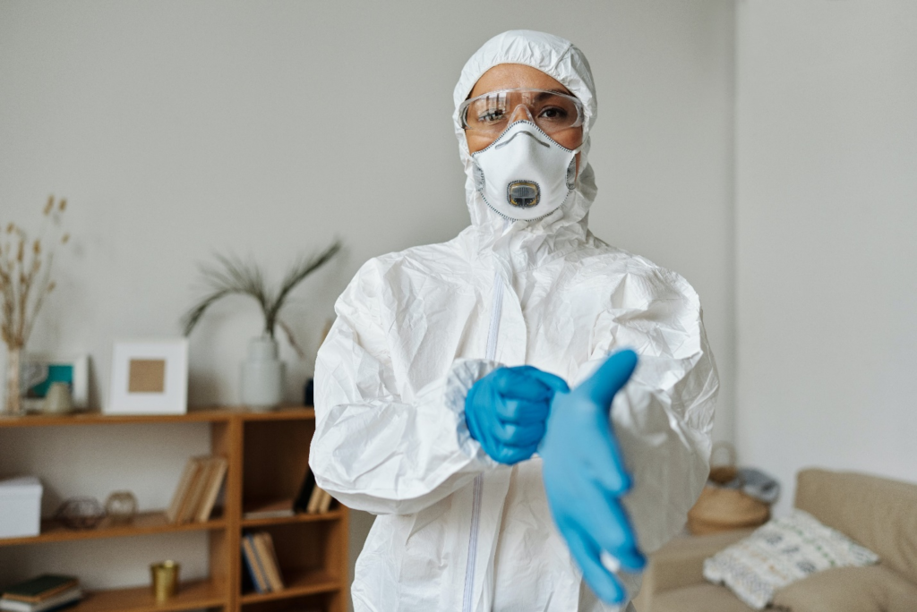 a professional pest control expert wearing gloves