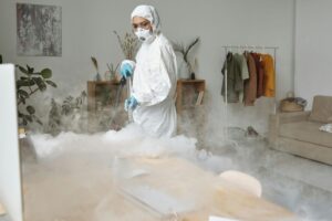 Termite inspection by pest control expert to prevent property damage.