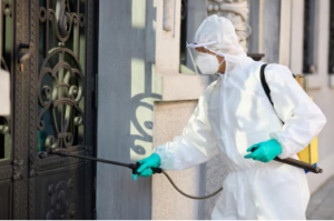 A professional pest control expert in a suit and mask spraying outdoors to eliminate flies and pests