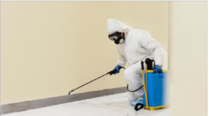 Pest control professional in safety gear spraying along the wall to eliminate indoor ant colonies