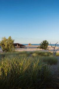 Lake Michigan Beach surrounded by natural landscape and shoreline vegetation