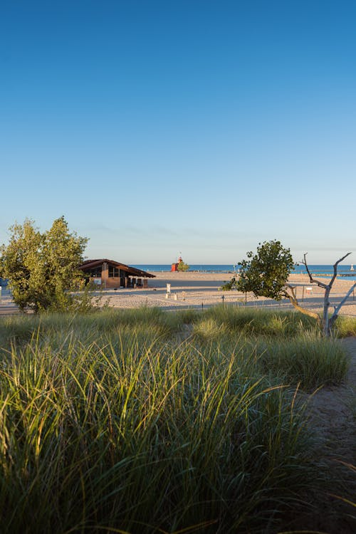 Why Lake Michigan Beach Homes Need Proactive Roach Control Right Now