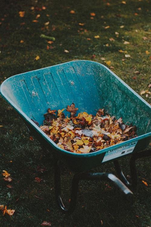Don’t Let Fall Yard Cleanup Create New Pest Problems